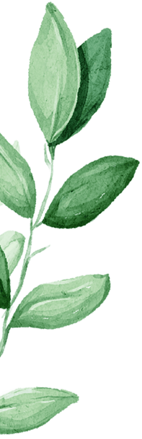 branch-1-